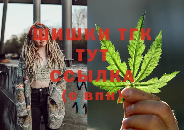 mdpv Богданович