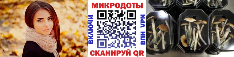 Псилоцибиновые грибы мицелий Лангепас
